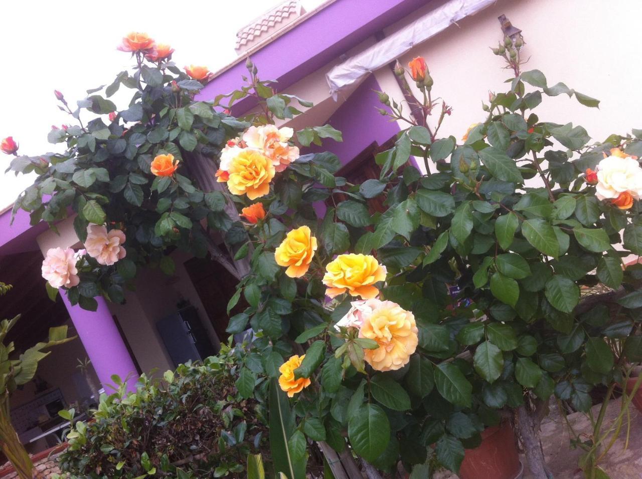 Casa Vacanze Surriano Sciacca Exterior photo